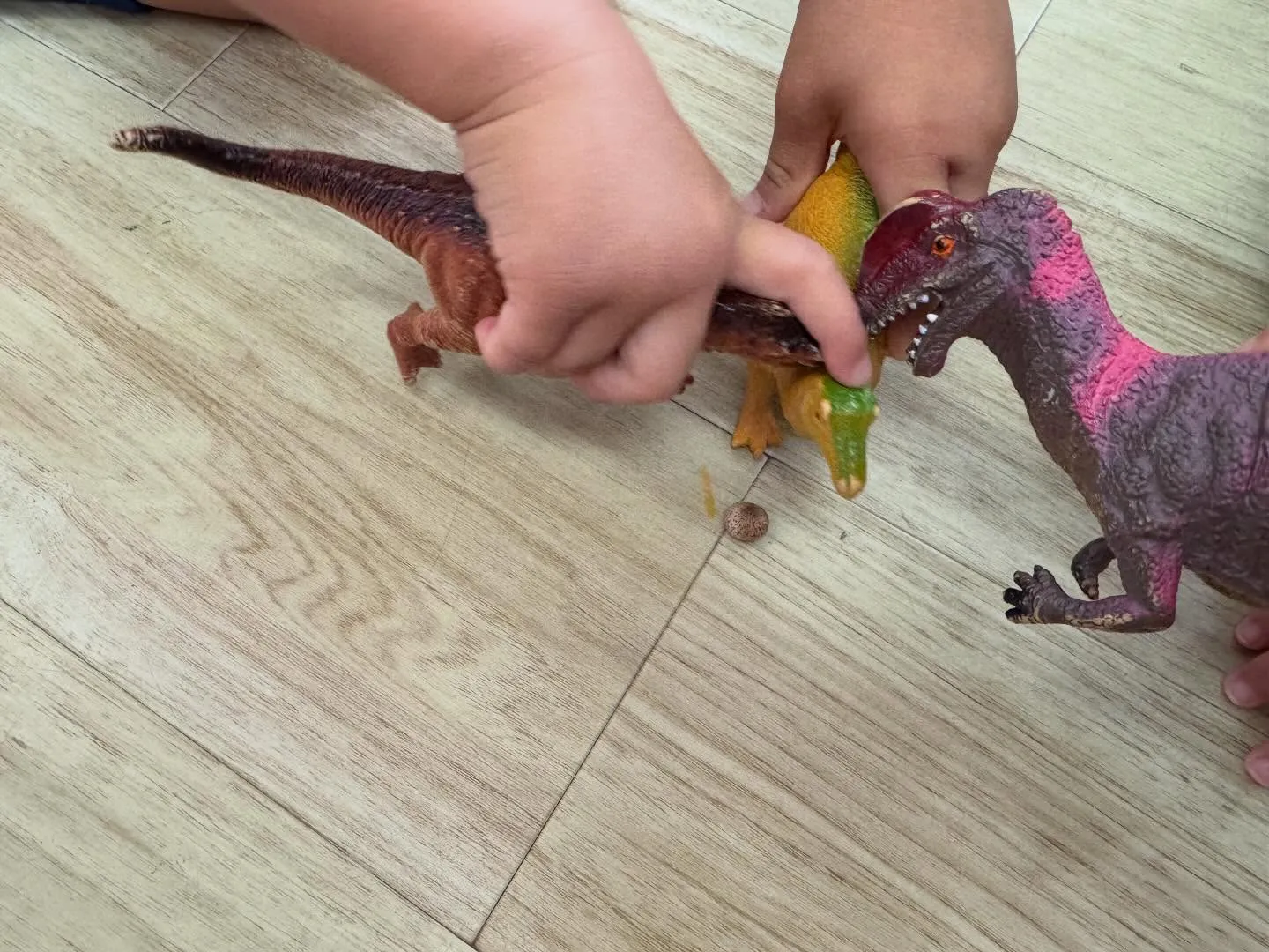恐竜のたまご！？？🦖🥚 足跡も見つけた！！🐾